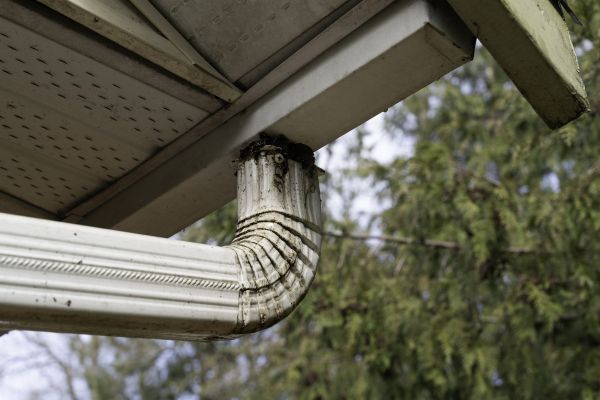 Cost of Roof Drain Replacement in Statesville