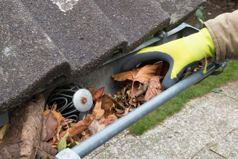 Clogged Gutter Debris